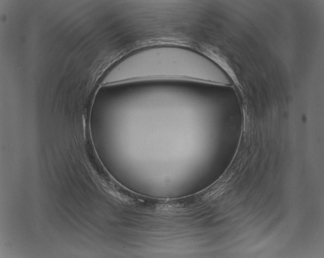 X0000070220109200605261046