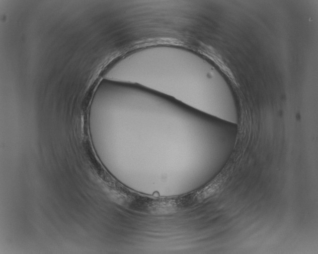 X0000070220110200605261046