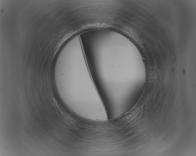 X0000070220111200605261046
