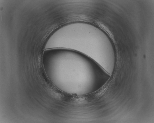 X0000070220113200605261046