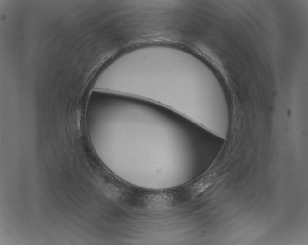 X0000070220115200605261046