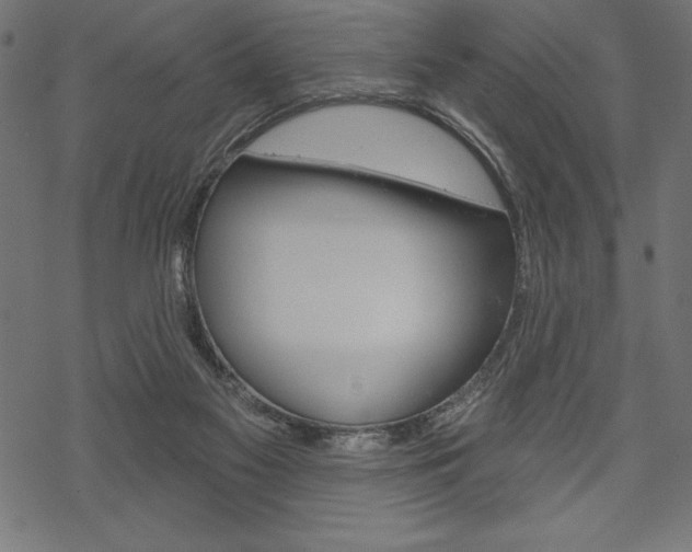 X0000070220117200605261046