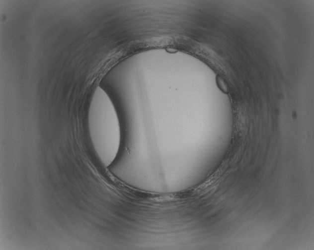 X0000070220118200605261046