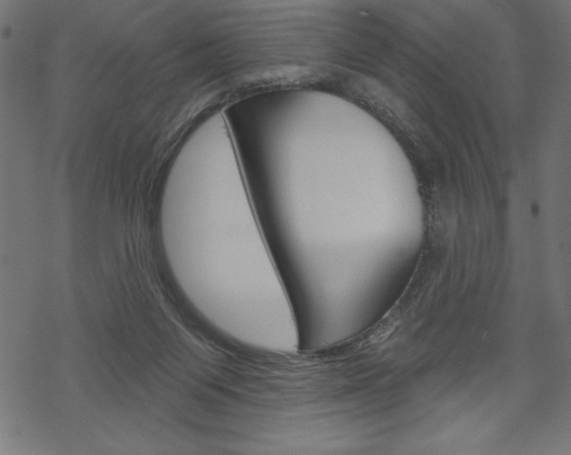X0000070220119200605261046