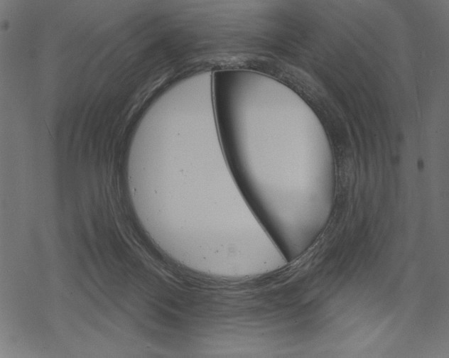 X0000070220120200605261046