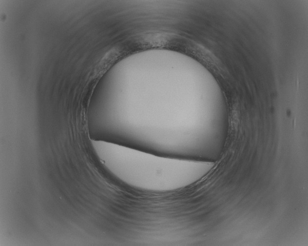 X0000070220122200605261046