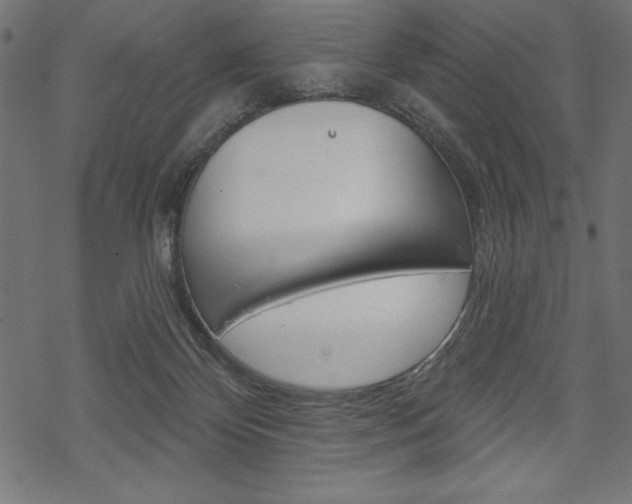 X0000070220124200605261046