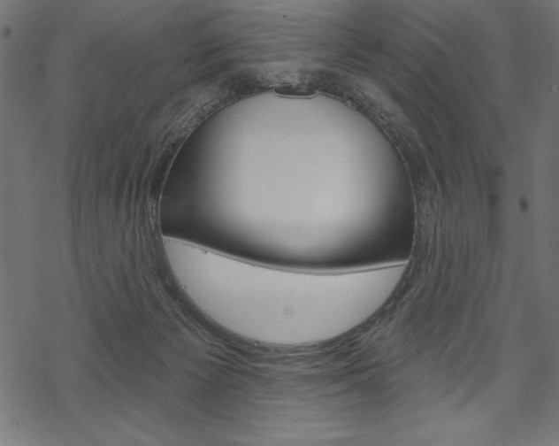 X0000070220125200605261046