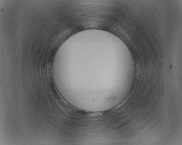 X0000070220126200605261046