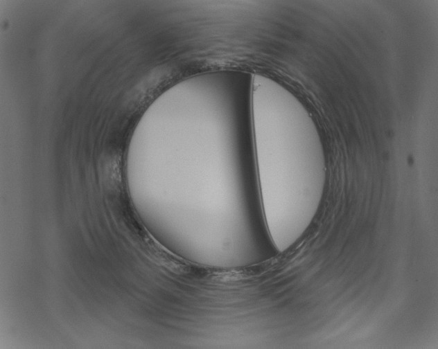 X0000070220127200605261046