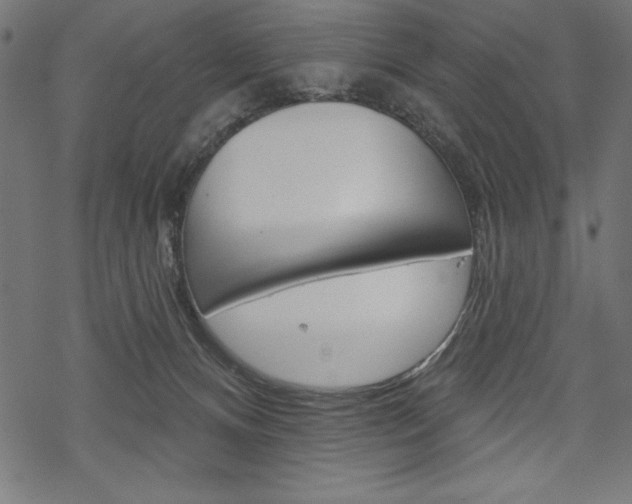 X0000070220128200605261046