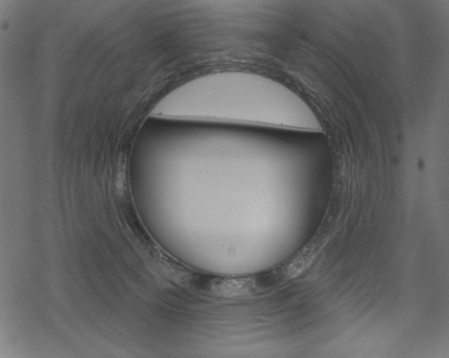 X0000070220129200605261046