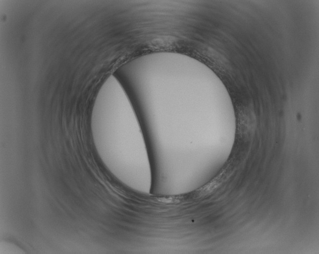 X0000070220130200605261046