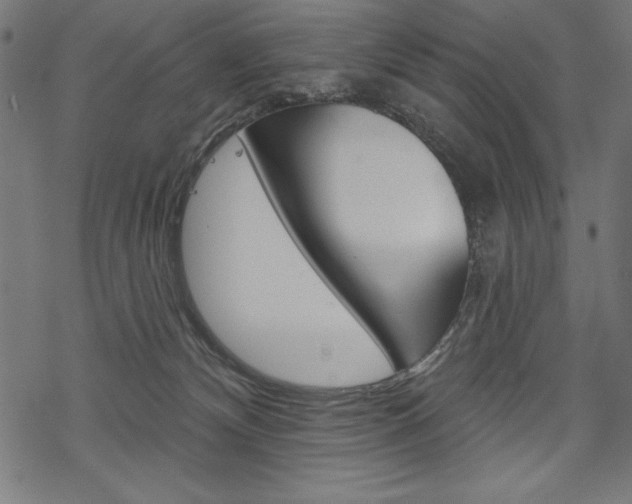 X0000070220132200605261046