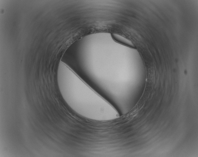 X0000070220135200605261046