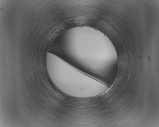 X0000070220136200605261046