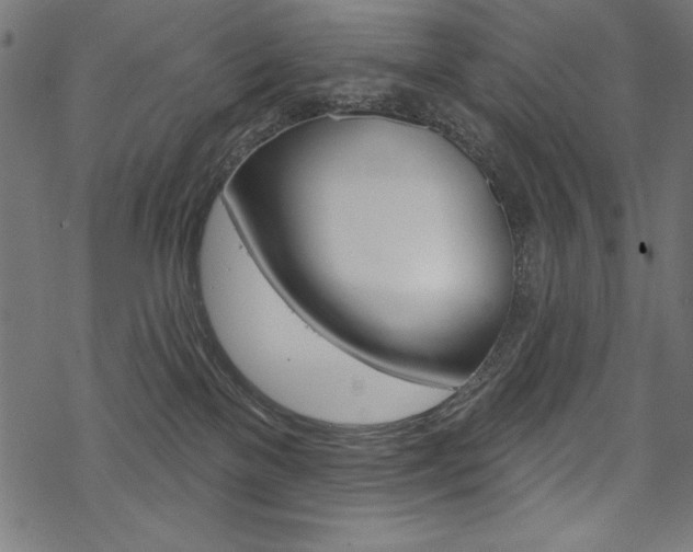 X0000070220137200605261046