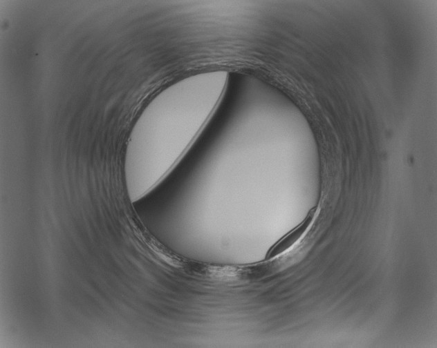 X0000070220144200605261046