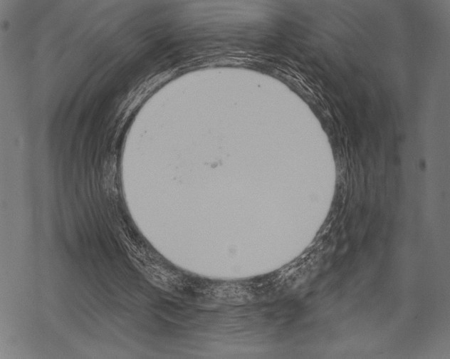 X0000070220146200605261045