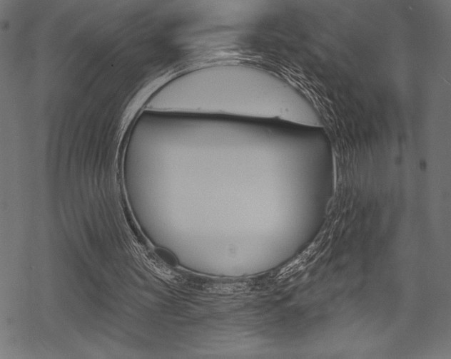 X0000070220147200605261045