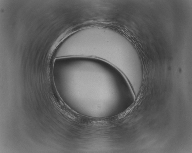 X0000070220150200605261045