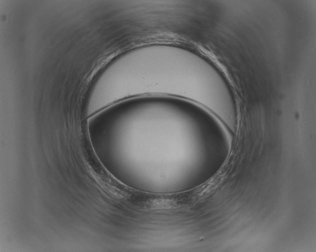 X0000070220154200605261045