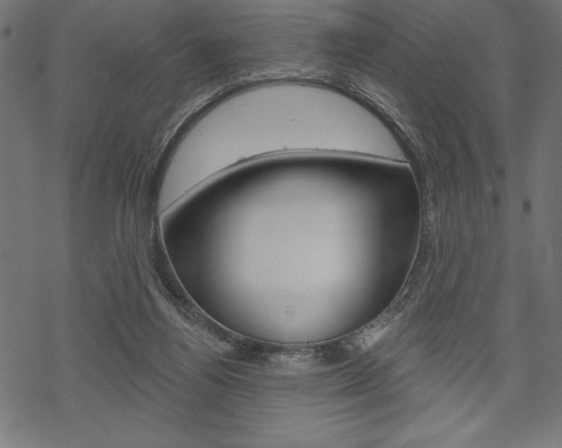 X0000070220164200605261045