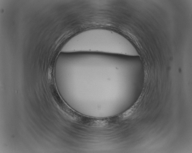 X0000070220166200605261045