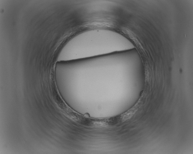X0000070220167200605261045