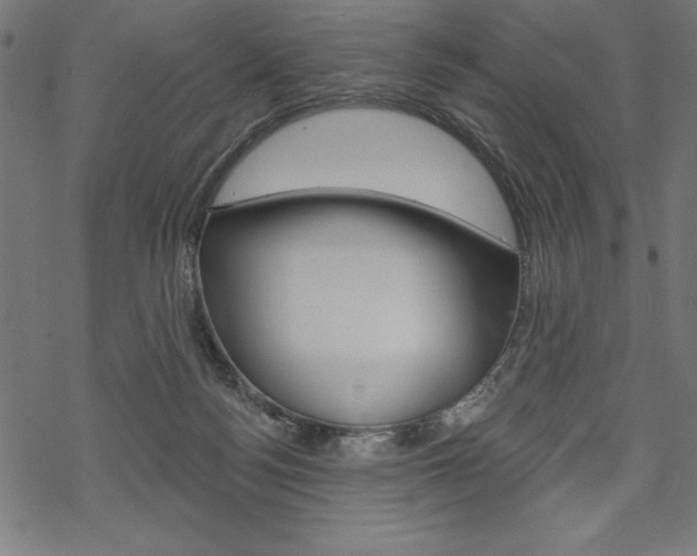 X0000070220172200605261046