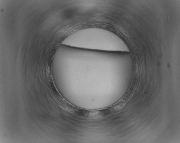 X0000070220173200605261046