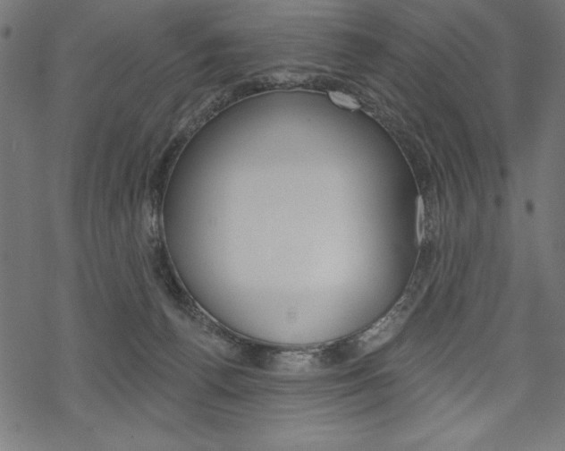X0000070220176200605261046