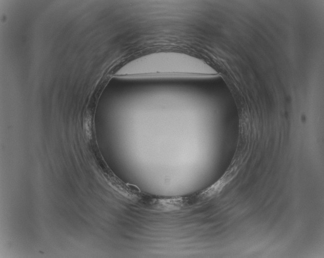 X0000070220188200605261046