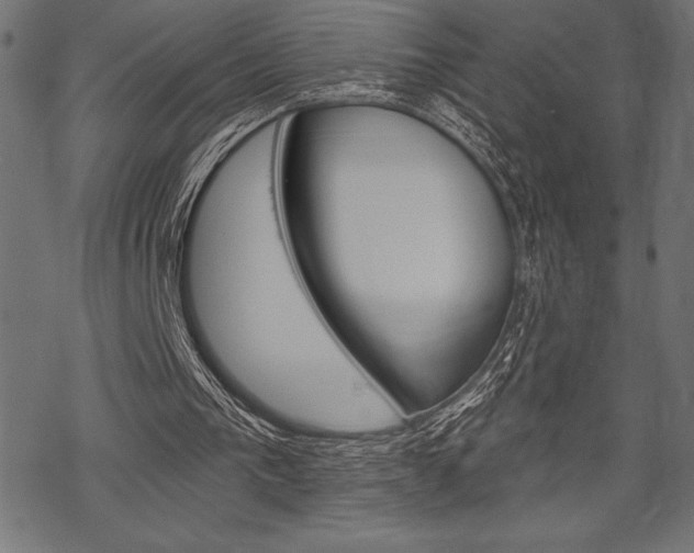 X0000070220193200605261045