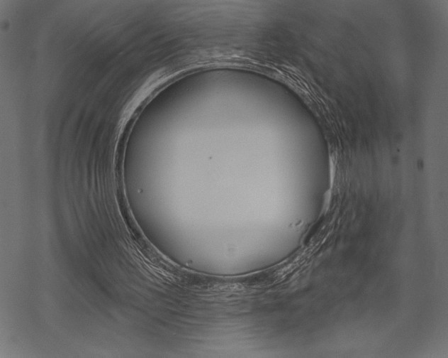 X0000070220195200605261045
