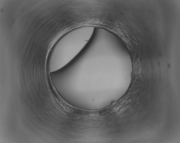 X0000070220196200605261045