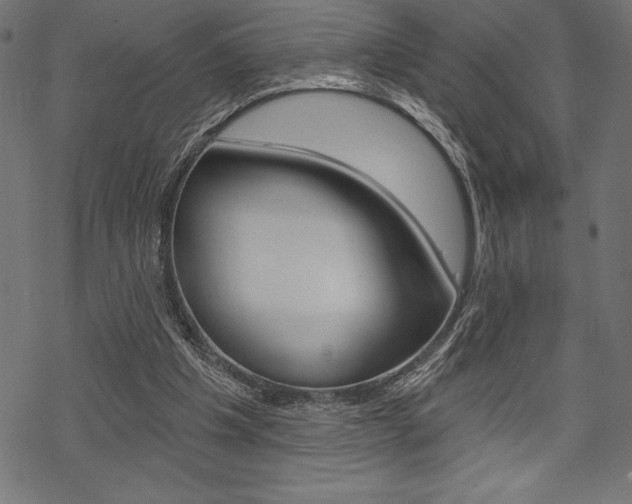 X0000070220201200605261045
