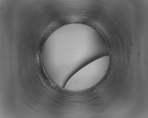 X0000070220214200605261045