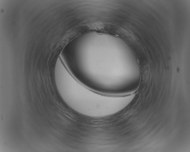 X0000070220229200605261044