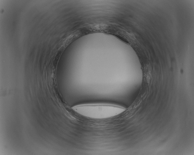X0000070220235200605261044