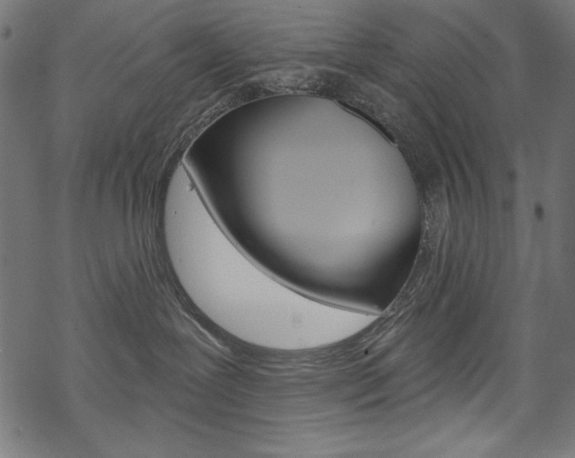 X0000070220239200605261044