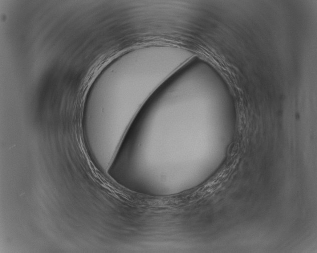X0000070220241200605261044