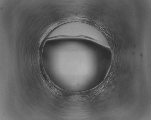 X0000070220244200605261044