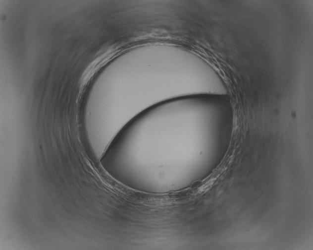 X0000070220245200605261044