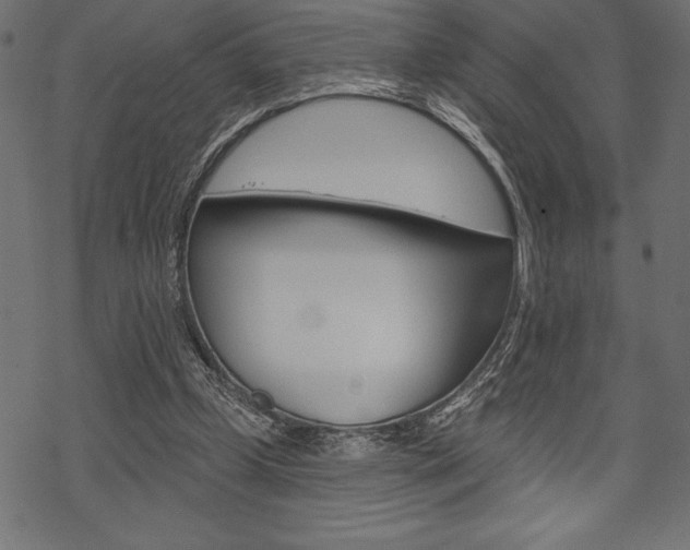 X0000070220249200605261044