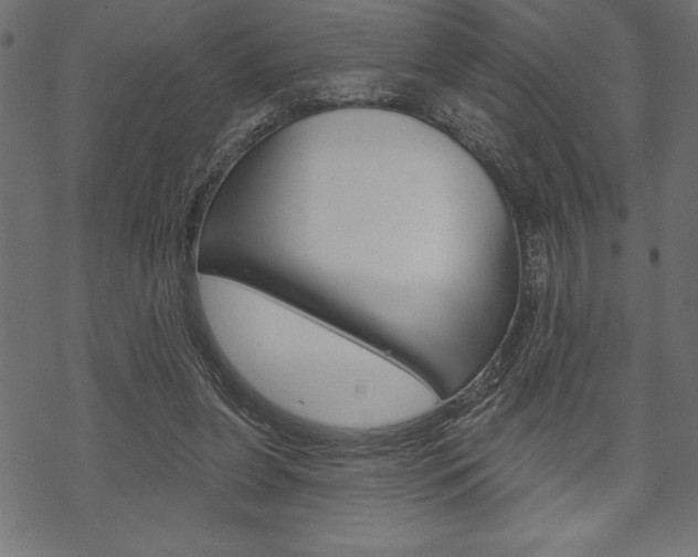 X0000070220255200605261044