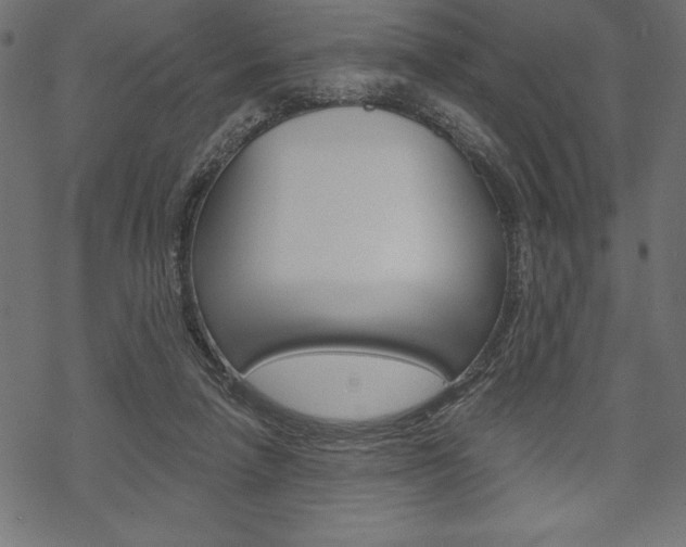X0000070220258200605261044
