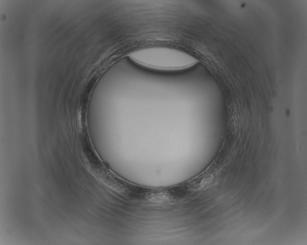 X0000070220262200605261044