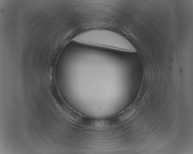 X0000070220264200605261044