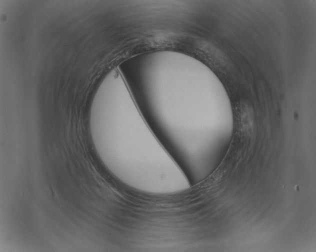 X0000070220266200605261044